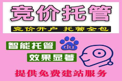 SEM外包助力企业品牌推广案例